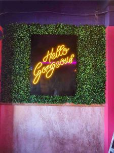 LED neon